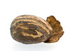 shea nut on white shea nut on white