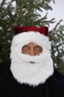 Photo: Man Dressed As Santa Claus Man Dressed As Santa Claus