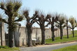 Cimetiere