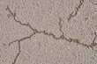 Asphalt road with crack after rain