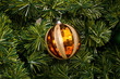 Orange Christmas ornament on tree