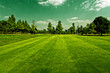 Golf field