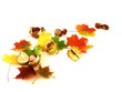 Herbst
