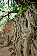 Historical Park Ayutthaya, Thailand
