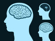 Male head silhouette with small and big brain Male head silhouette with small and big brain