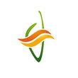 logo entreprise, corse logo entreprise, corse