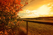 Beautiful autumn in Scotland