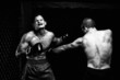 MMA - Mixed martial artists fighting - punching