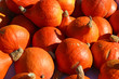 Kürbis