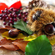herbstlaub und waldfrüchte