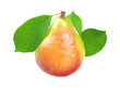 Fresh pear with leaf