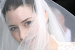 Bride in veil close up