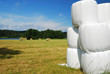 Gathered field with straw bales packaged Gathered field with straw bales packaged