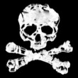 Skull and Cross Bones