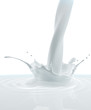 Milk Splash
