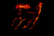 fiery horse fiery horse
