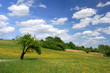 Frühling
