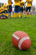 Rugby ball on a grass on a background of players