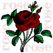 vector illustration rose tattoo vector illustration rose tattoo