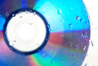 Drops of water on DVD