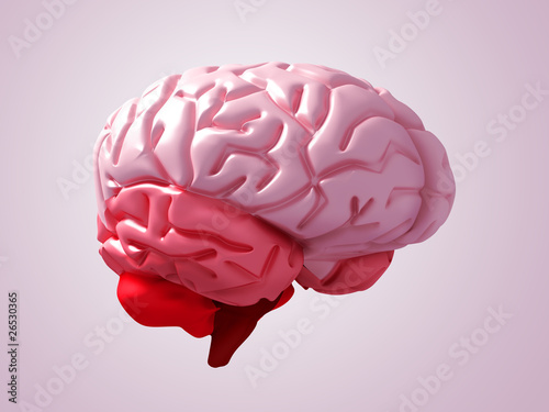 Illustration: brain brain