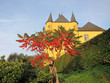 Burg im Herbst Burg im Herbst