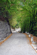 rural road rural road