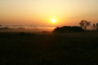European savanna