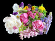June flowers on black June flowers on black