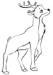 Rehbock