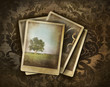 Illustration: Vintage photos on dark damask background Vintage photos on dark damask background
