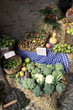 cavoli broccoli verdura biologica