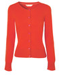 Red Jacket isolated on white background Red Jacket isolated on white background