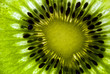 leuchtende Kiwi