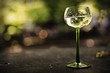 Photo: Verre de vin blanc alsacien Verre de vin blanc alsacien