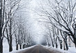 Winter road