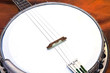 Closeup of Banjoc