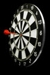 Target board