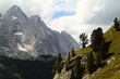 Pine trees on the mountain slope,Sass Vernel in the distance