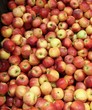 Plein de pommes Plein de pommes
