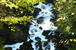 Cascada yarboles de uelhs deth jueu