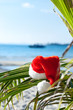 Photo: Red Santa's hat hanging on palm tree at the tropical beach Red Santa's hat hanging on palm tree at the tropical beach