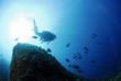 Paysage sous marin 3