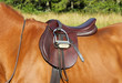 Images : Horse Saddle