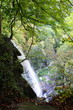 Uracher Wasserfall, Schwäbische Alb, BW; GER Uracher Wasserfall, Schwäbische Alb, BW; GER