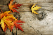 Autumn Leaves over wood background.With copy space