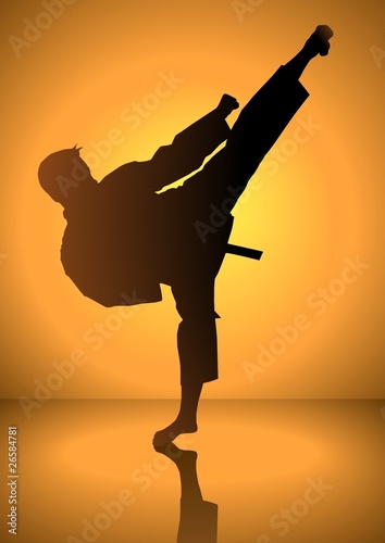 Vector: Silhouette of a karateka doing standing side kick Silhouette of a karateka doing standing side kick