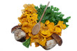 Steinpilz und Pfifferlinge