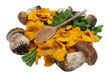 Mushrooms