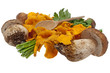 Mushrooms